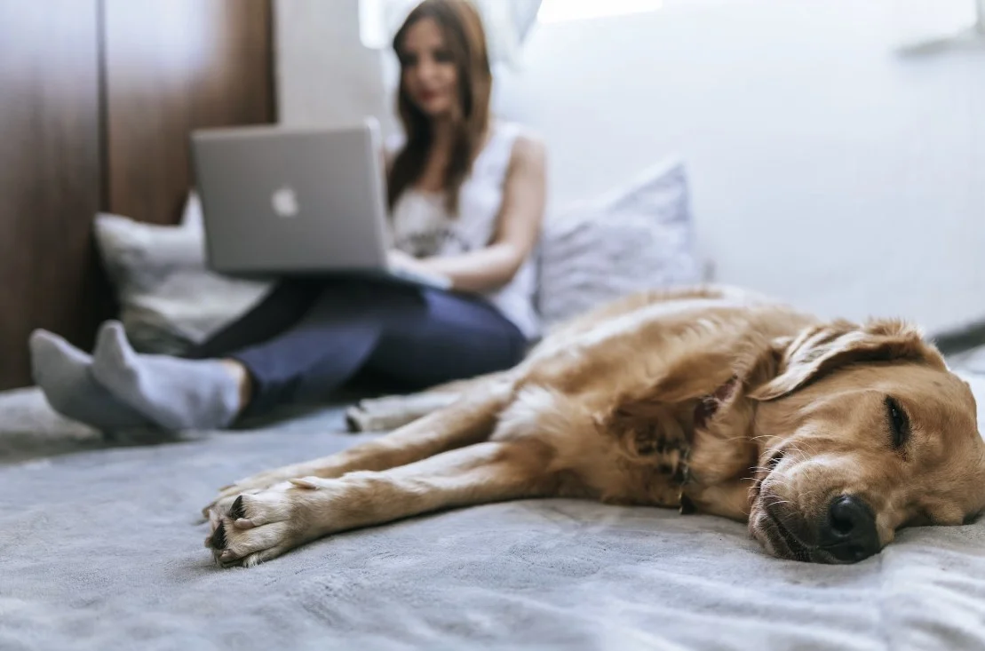 hi tech smart bed